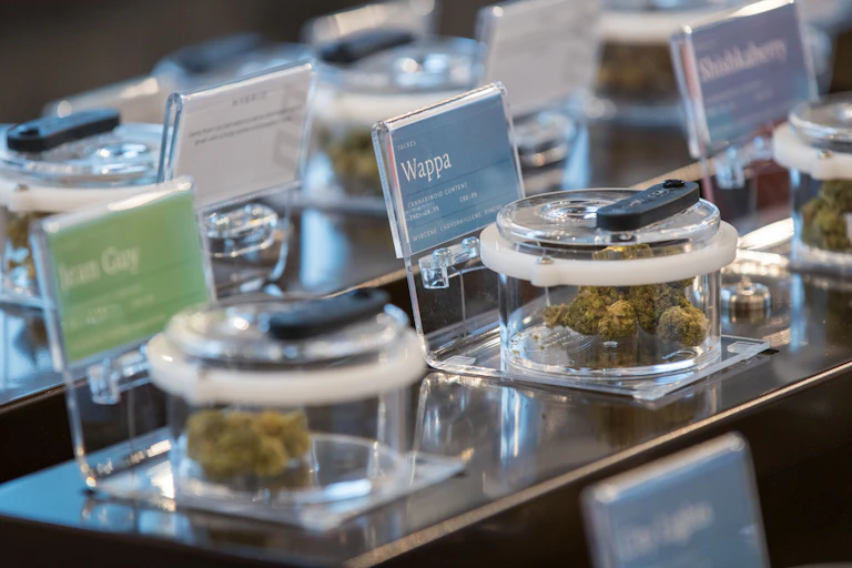Cannabis on display is glass jars