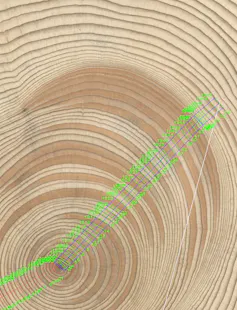 a cross section of a tree with a straight neon green line across it