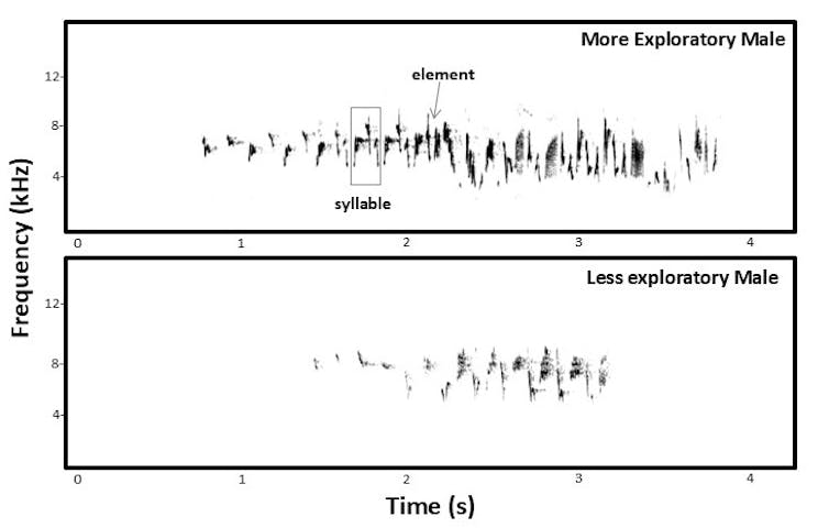 Chart showing two different birdsongs visualised, one with more peaks.