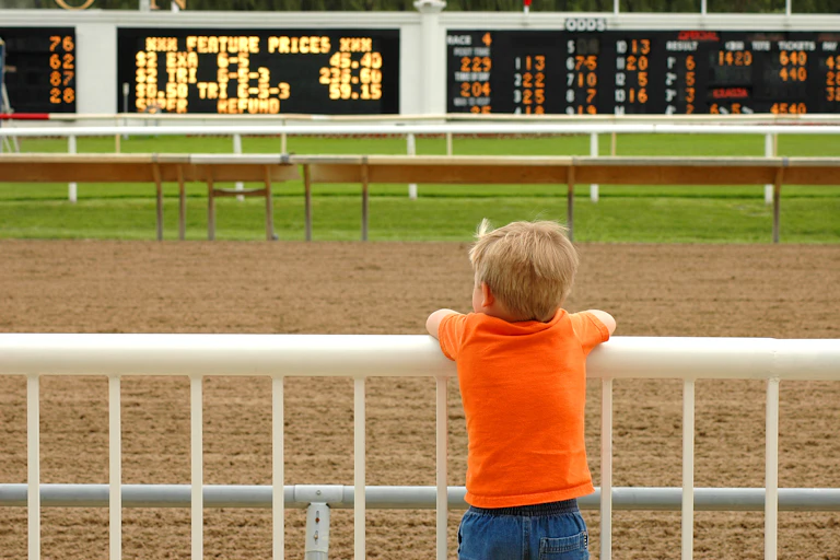 A young child at a racetrack looks at betting odds on a big screen.