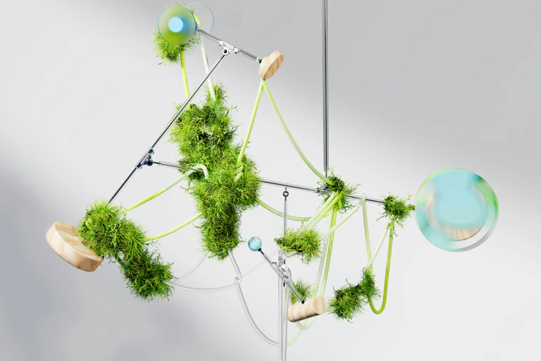 A construction of lab equipment and plants
