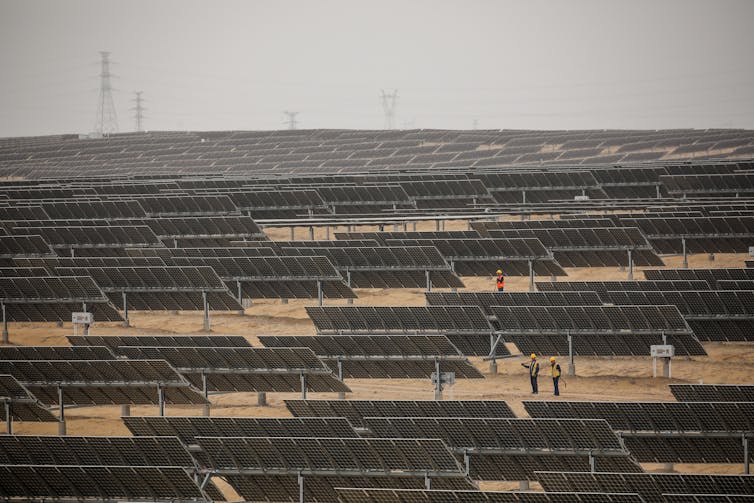 Workers stand near photovoltaic panels.