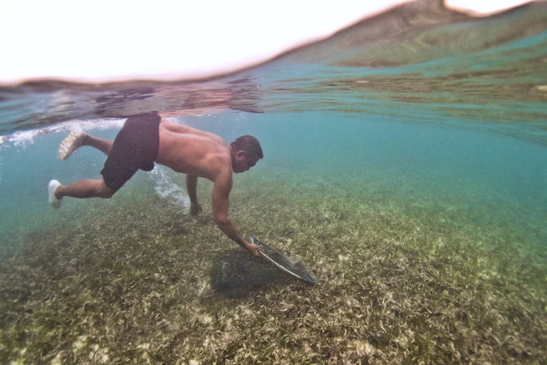 man dives down to seagrass meadow in shallow sea