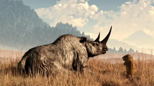 Megaflora Extinct Megafaunal extinction – News, Research and Analysis – The Conversation ...