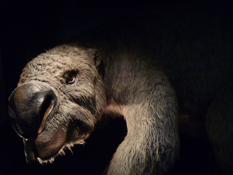 Scary looking animal model in museum