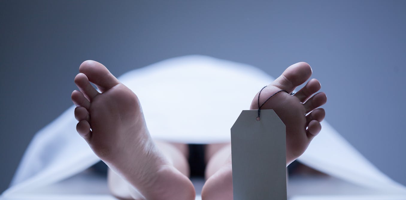 The fall and resurrection of the science of human dissection