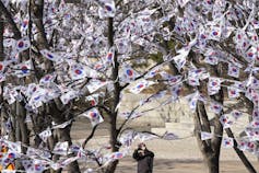 El hombre apunta a la cámara con árboles de delicánidos con pequeñas banderas.