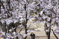 A man points his camera up at trees festooned with small flags.