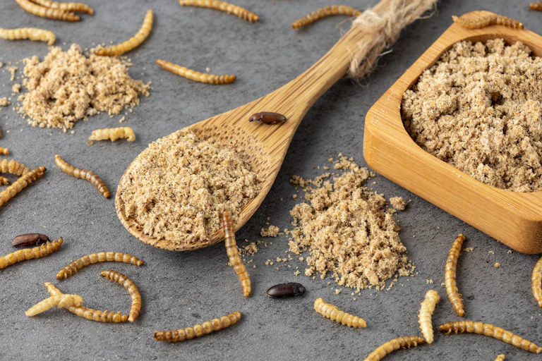 A wooden spoon and wooden bowl contain flour with powder. They appear on a grey granite table where there are also numerous wheat-coloured worms.