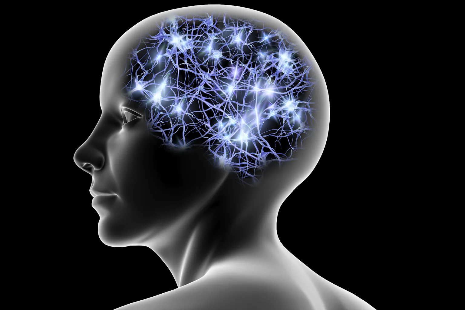 How does your brain create new memories? Neuroscientists discover ...
