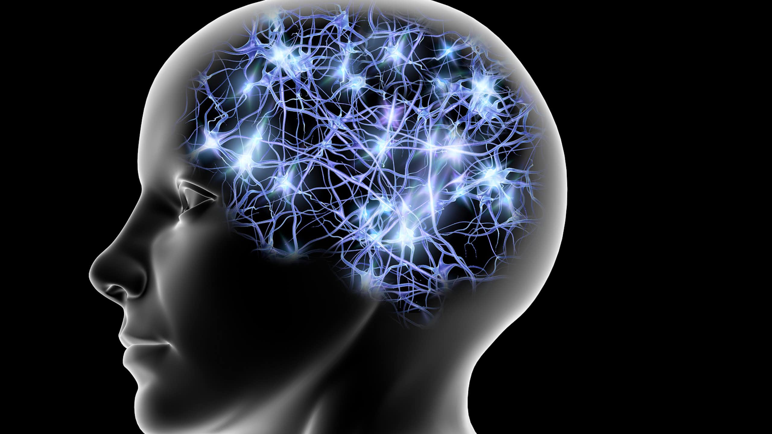 Illustration of a person's profile with glowing neurons visible in skull