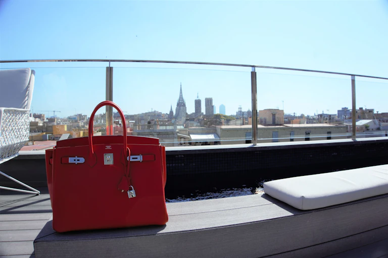 A Hermes bag with a view of a city skyline behind