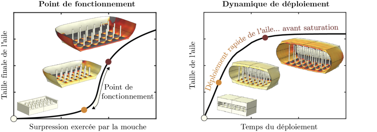 When flying substitute the wings 4 Operating point dynamics and differentiation