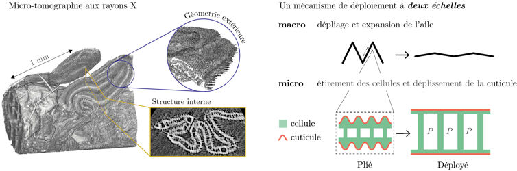 When flying substitute the wings 3 file 20250416 56 5jg87j.png?ixlib=rb 4.1