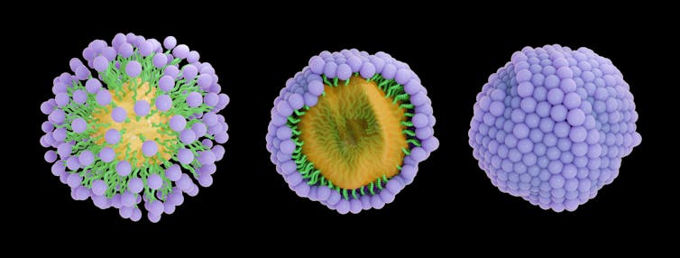 three views of a round conglomeration of purple-headed, green-tailed molecules encapsulating a yellow core