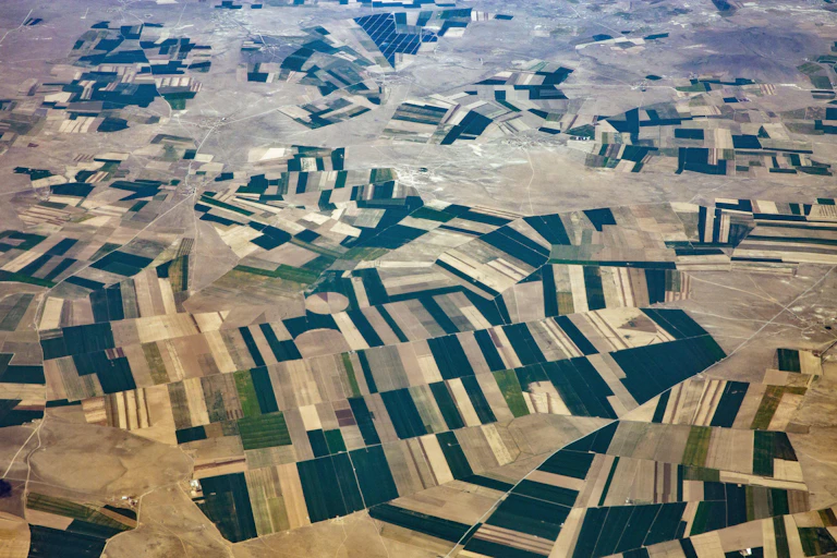 fields from above