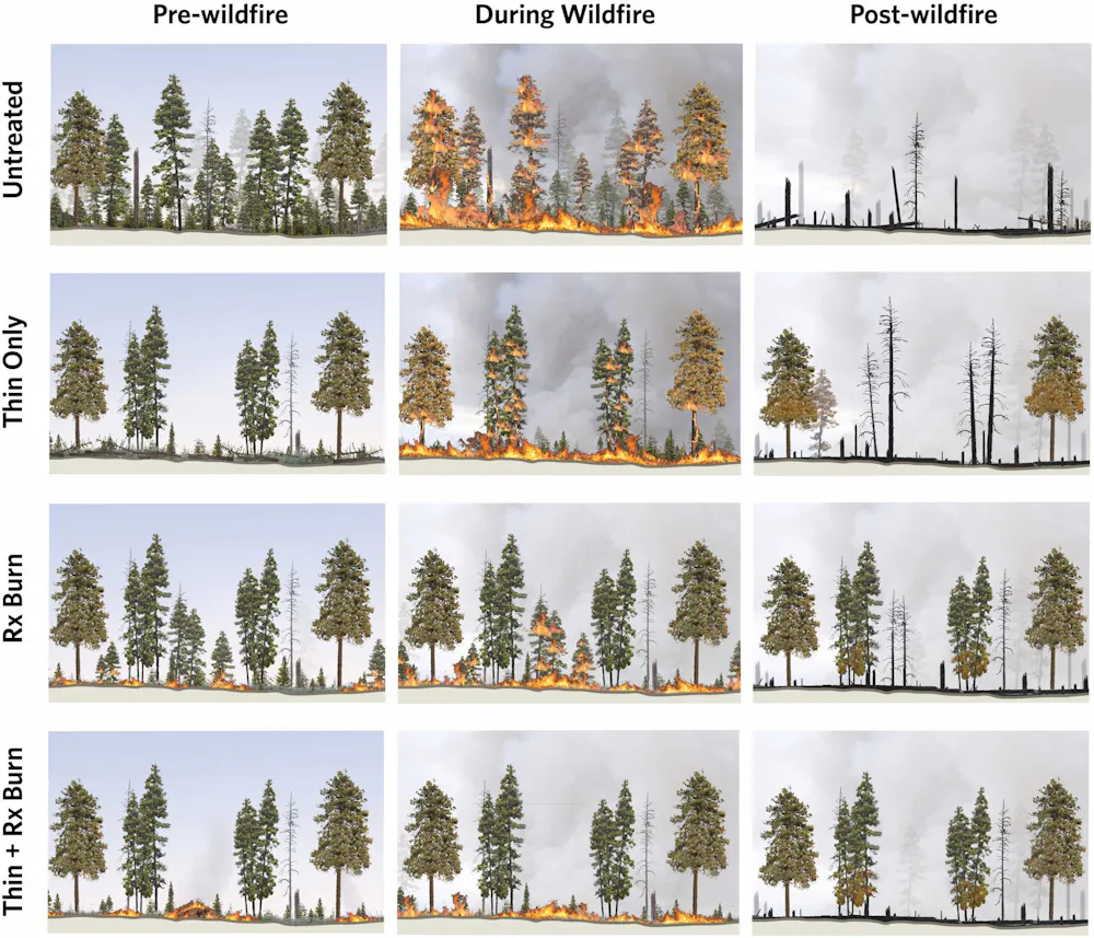 Controlled burns reduce wildfire risk, but they…