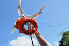 Sterile insect method, selection to insecticides for French agriculture? 2 file 20250418 56 zbx61x.jpg?ixlib=rb 4.1