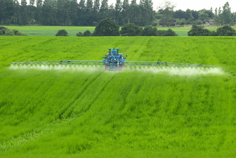 Sterile insect method, selection to insecticides for French agriculture? 3 file 20250418 56 4h9c99.jpg?ixlib=rb 4.1