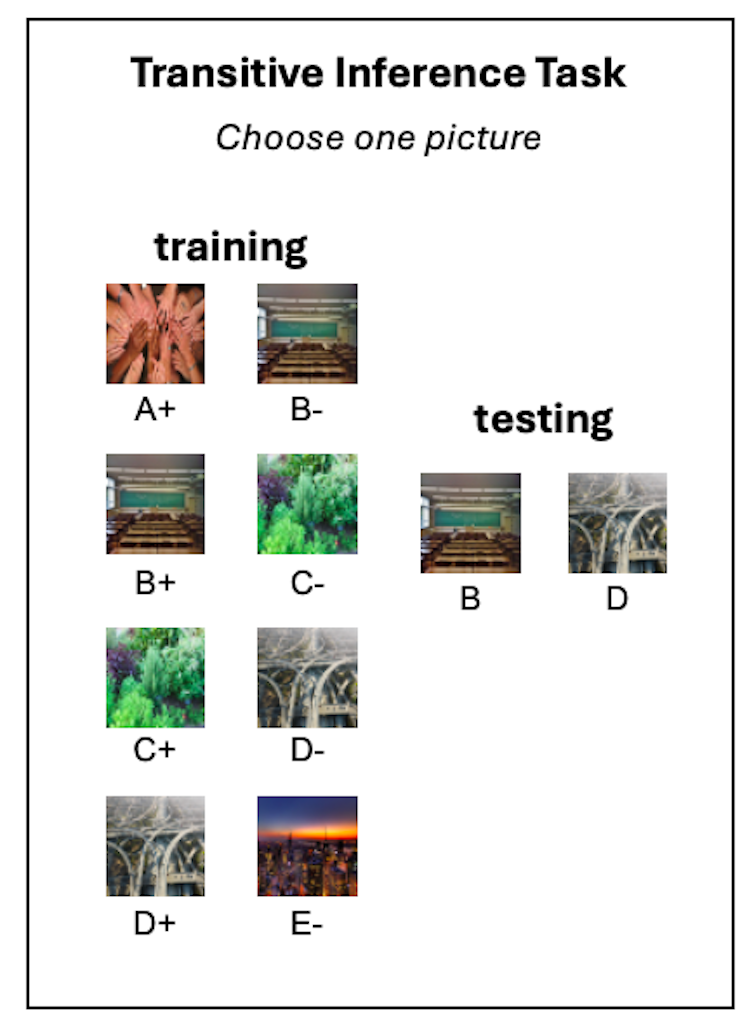 Comparing four pairs of images labeled a range of A to D in a training column, then one pair of images in the tesitng column