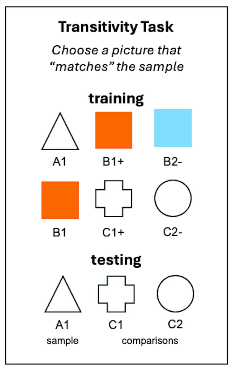 Comparing two sets of three shapes labeled a range of A to C in a section, then one trio of shapes in the tesitng section