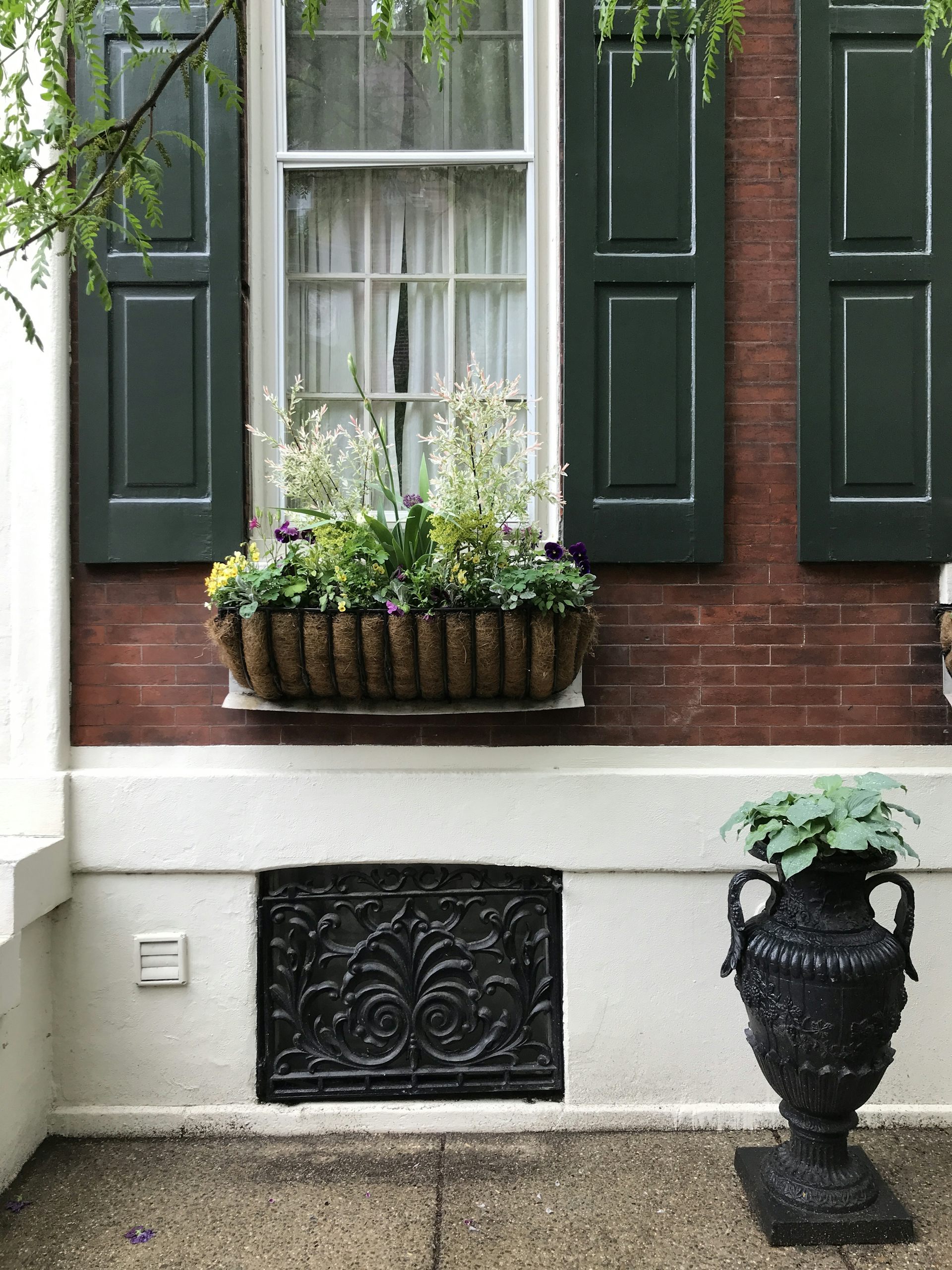 A mix of plants and flowers in a window box outside elegant brick rowhouse
