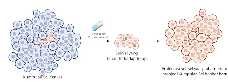Perbedaan respons terhadap terapi memungkinkan sebagian sel kanker bertahan, tumbuh kembali, dan picu kambuhnya penyakit.