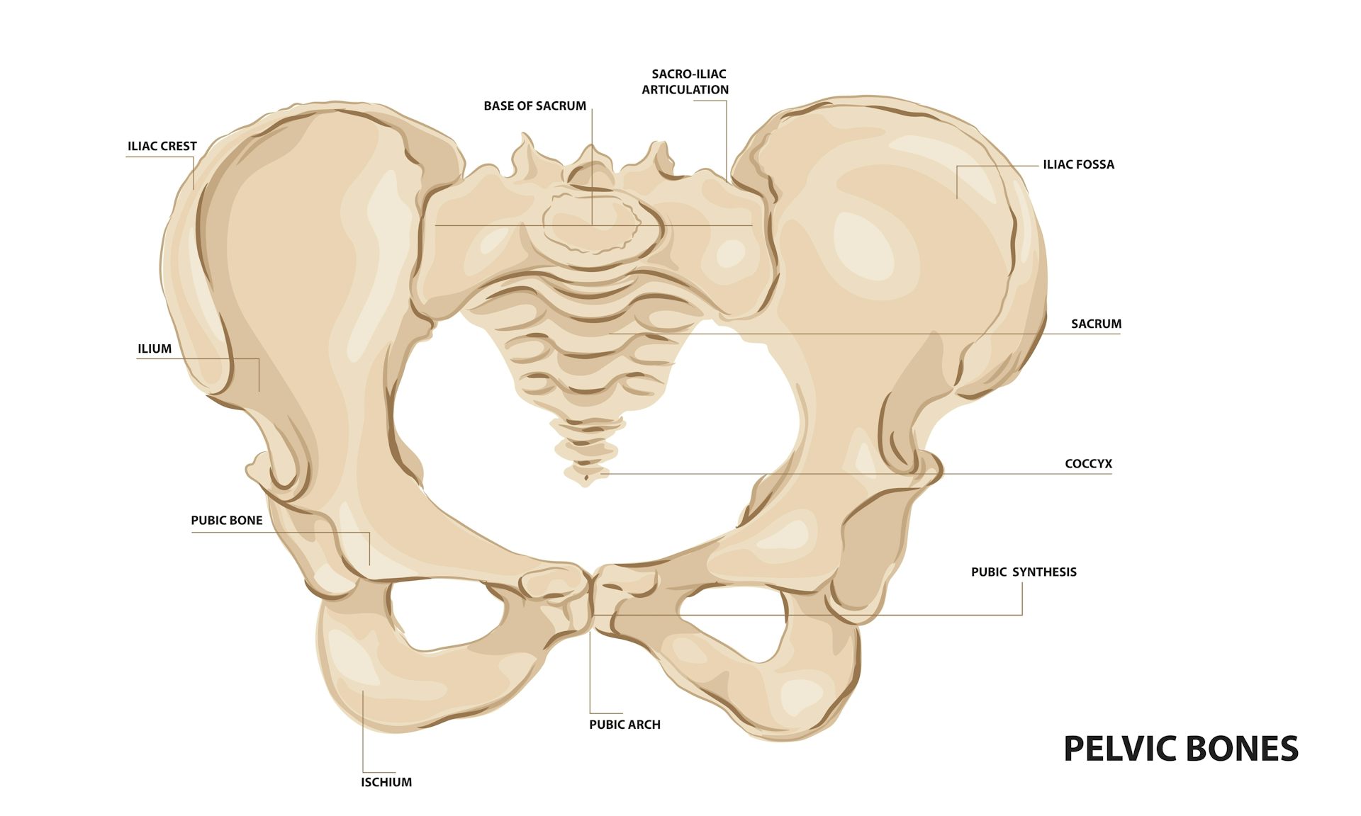 file 20250422 56 mc4xrw.jpg?ixlib=rb 4.1