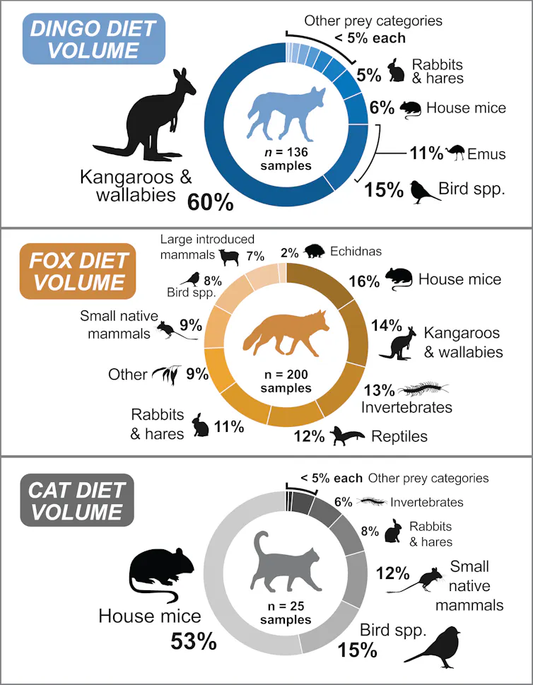 Coloured pie-chart figures showing a breakdown of the volume of prey categories in the diet of dingoes, foxes and cats in the Big Desert-Wyperfeld-Ngarkat complex in the Victorian/South Australian Mallee region.