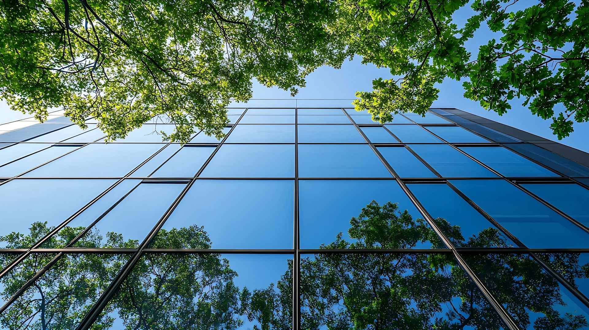 Un édifice encadré par des arbres.
