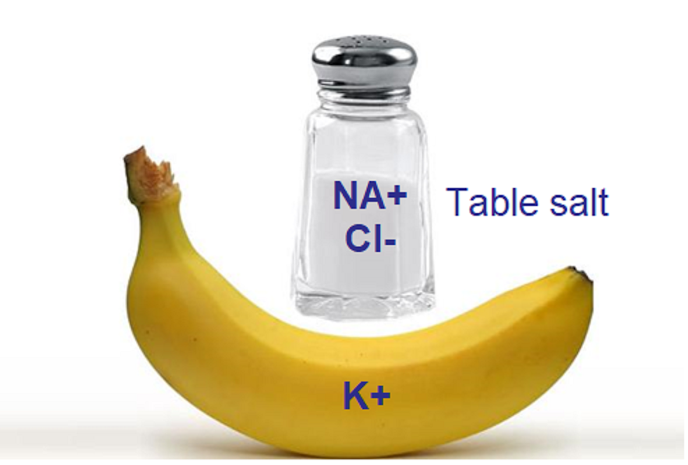 This Memory Technique Primes The Brain to Absorb More Information ...