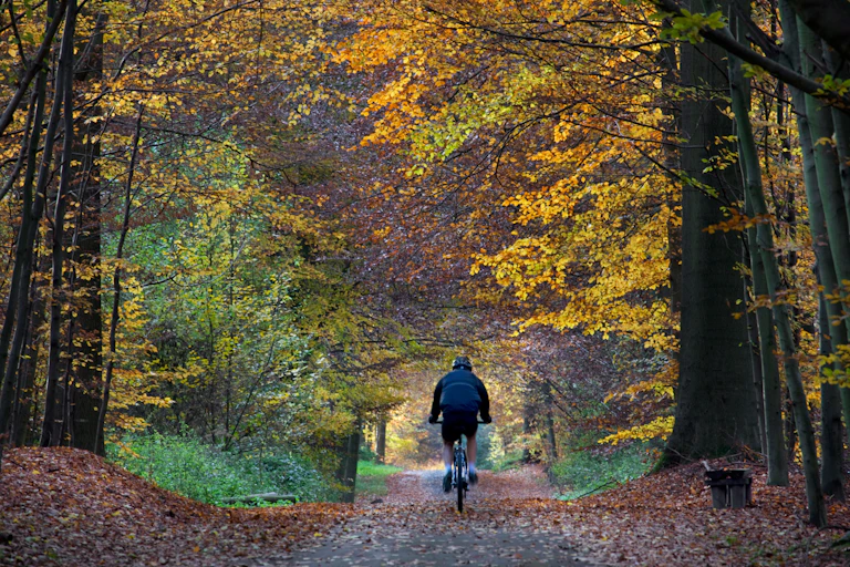 Person cycling in a forest in Belgium.