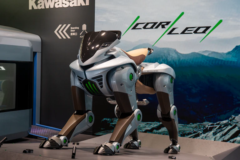 Corleo concept robot