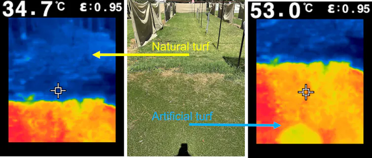 Thermal infrared images comparing the surface temperature of real turf (left, 34.7C) to artificial turf (right, 53C) at the same location.