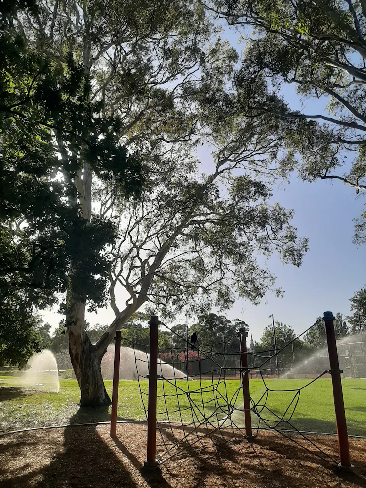 Sprinklers watering the grass in a park