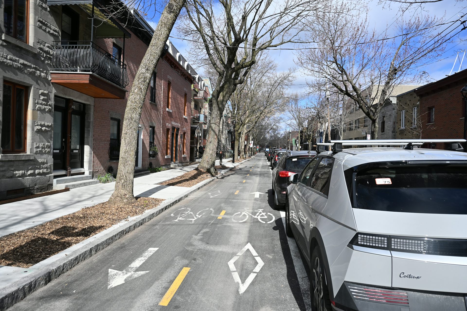 Une piste cyclable est bordée par une rangée de voitures