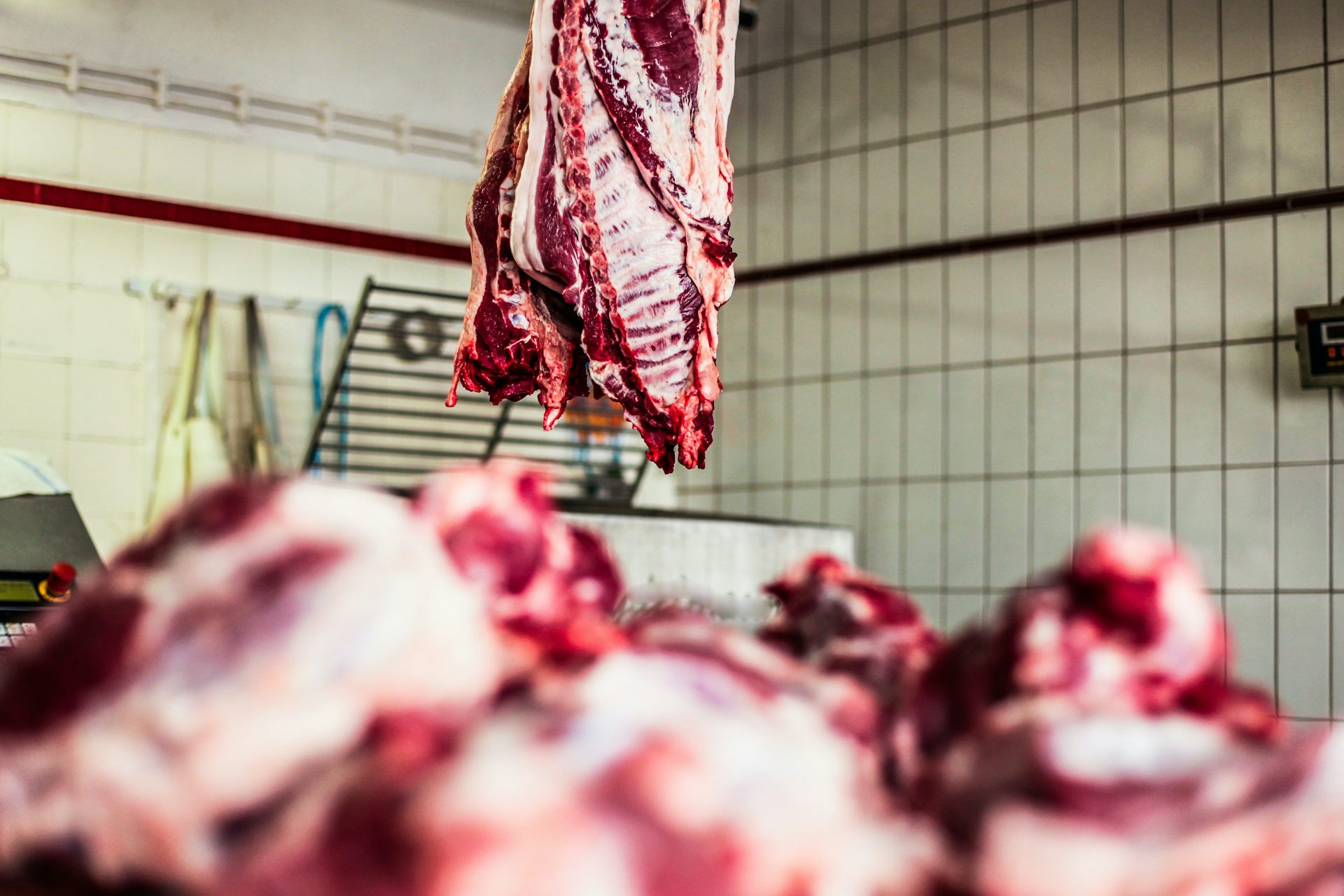 Pedazos de carne en primera plana y otro pedazo de carne colgado en una sala de matadero