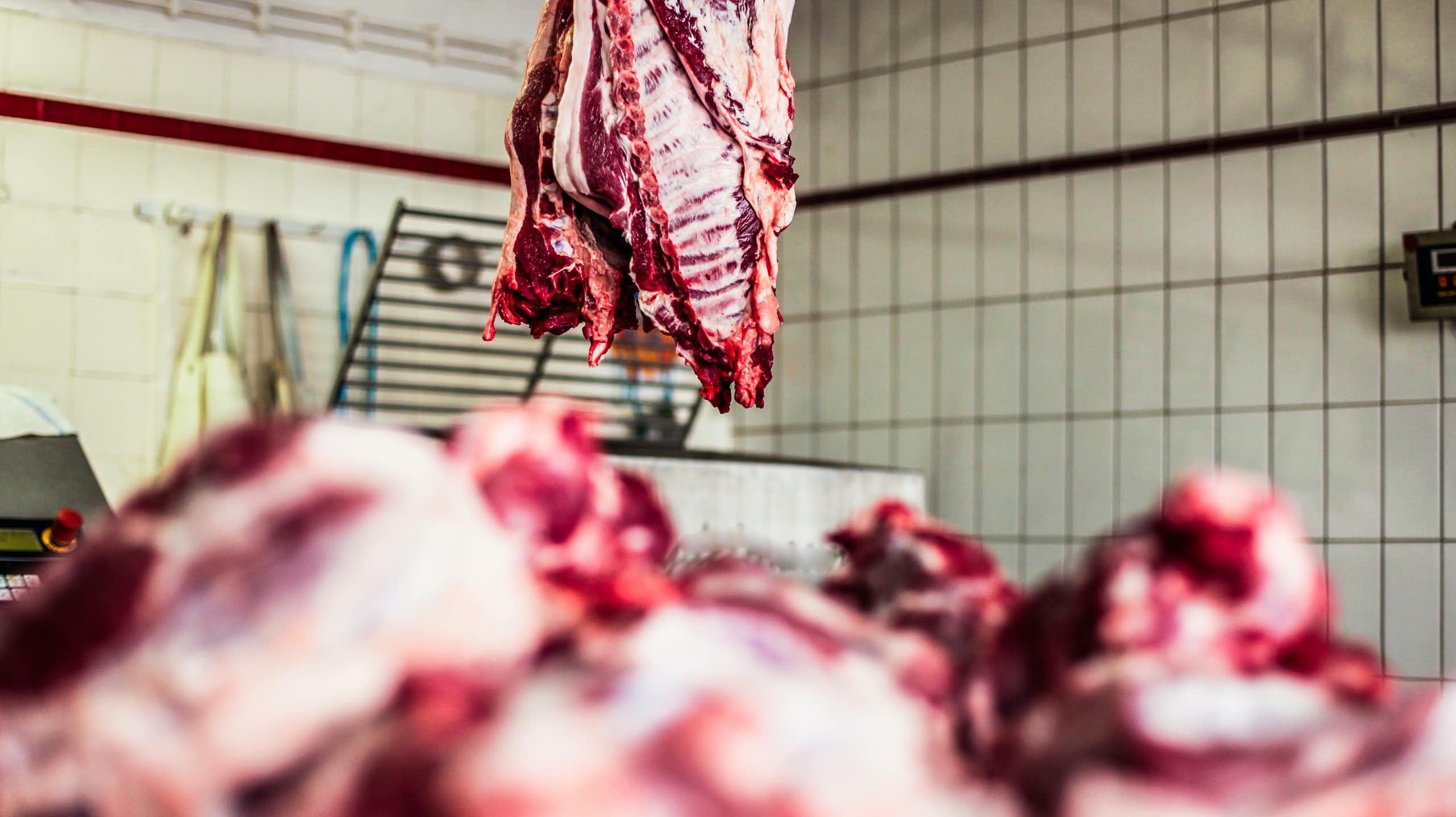 Pedazos de carne en primera plana y otro pedazo de carne colgado en una sala de matadero