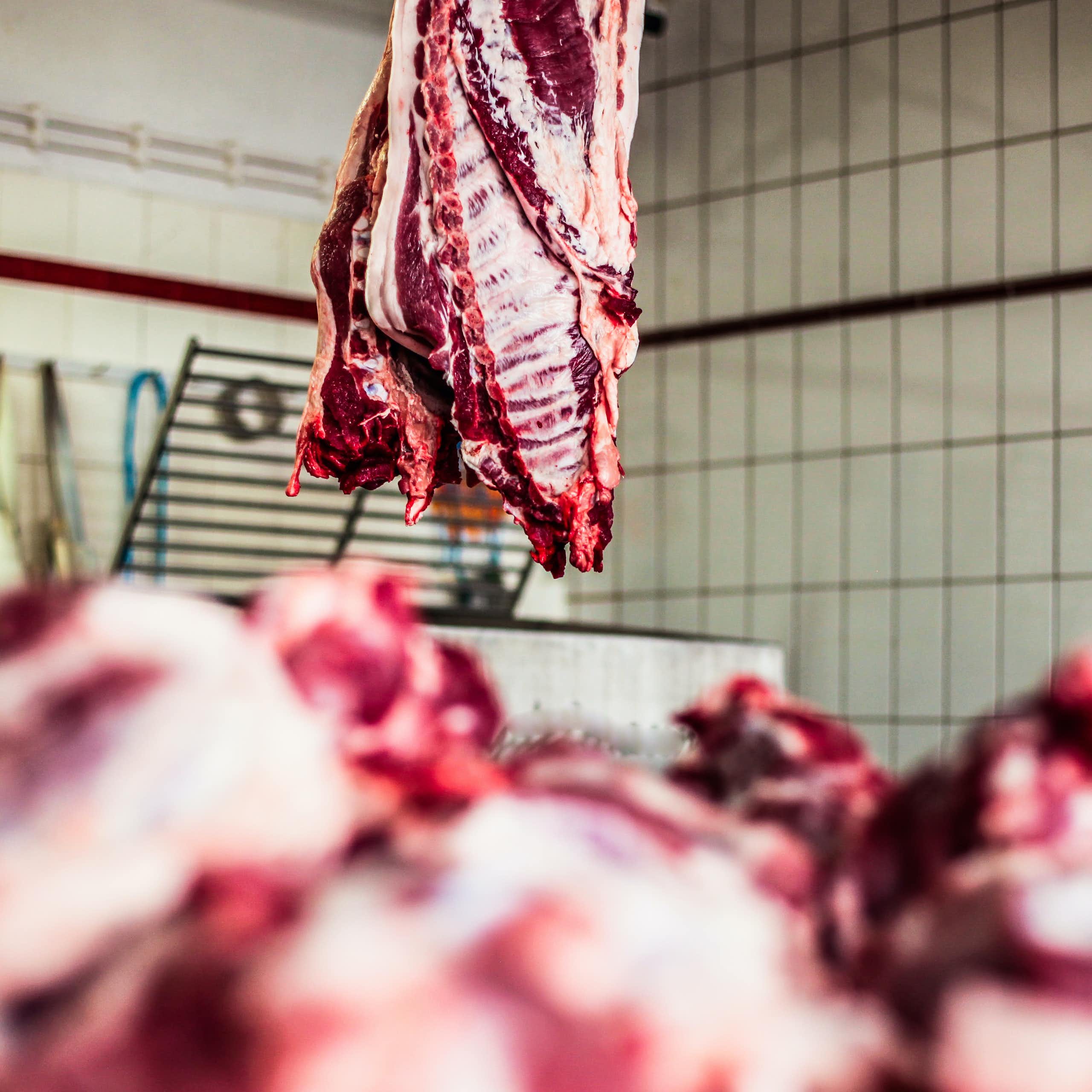Pedazos de carne en primera plana y otro pedazo de carne colgado en una sala de matadero
