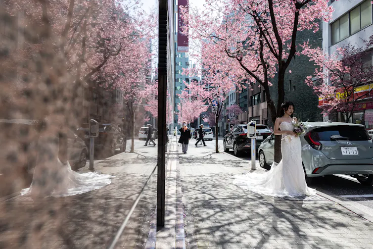 A woman poses for a wedding photo shoot in front of cherry blossom trees.