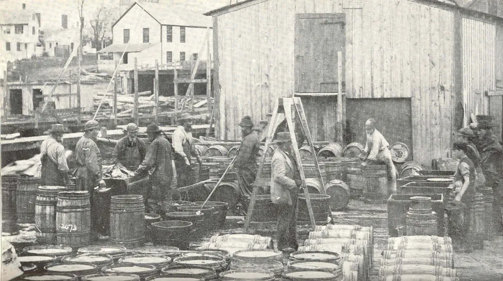 People and barrels of fish fill a wharf area in a historical black-and-white image.