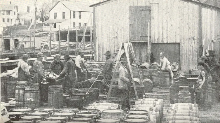 People and barrels of fish fill a wharf area in a historical black-and-white image.