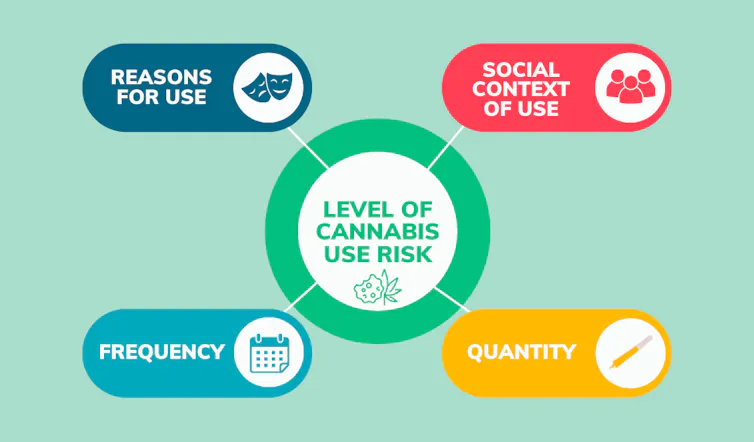 Diagram of various elements relating to cannabis use risk