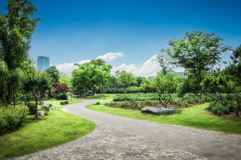green urban area