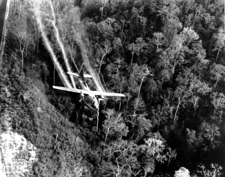 A plane flies over jungle, with streams of defoliant flowing out behind it.
