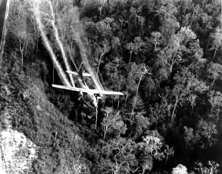 A plane flies over jungle, with streams of defoliant flowing out behind it.