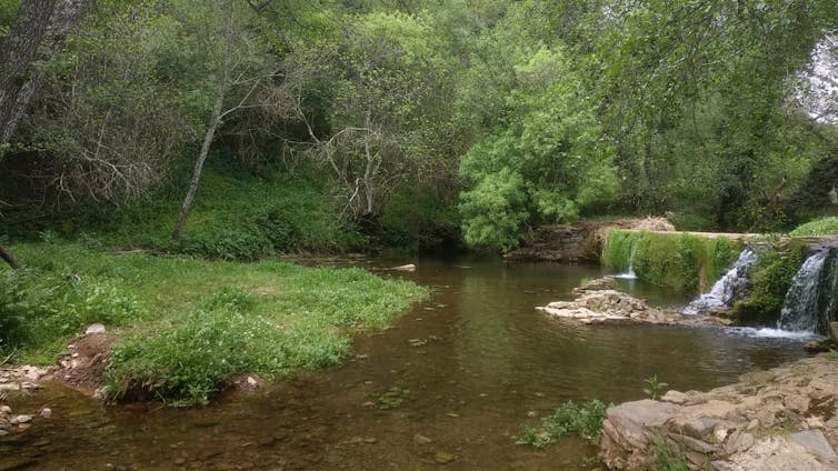 Vista de un río