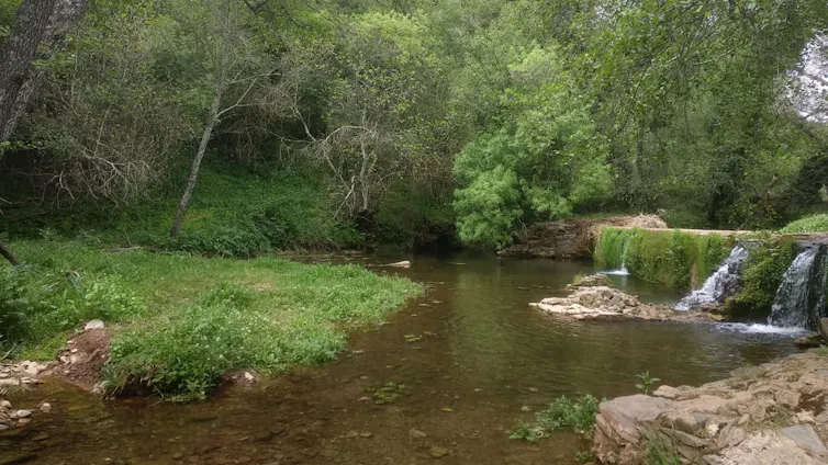 Vista de un río