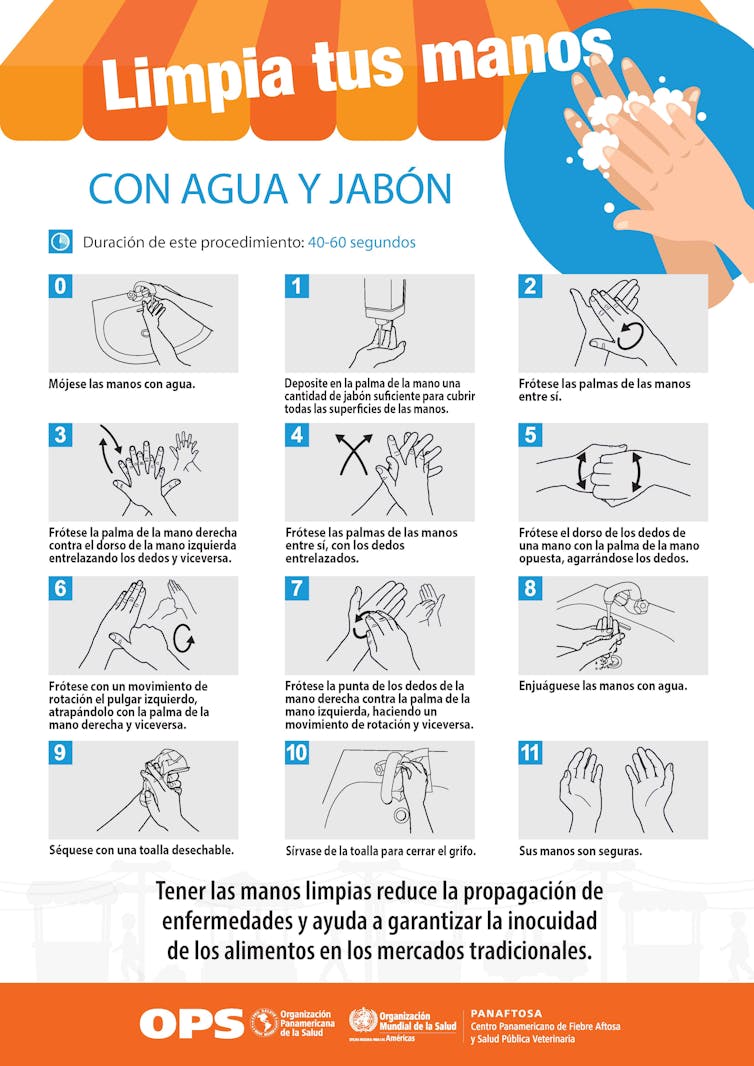 Importancia del lavado de manos: un gesto simple que salva vidas 1 file 20250425 56 crcxsh.jpg?ixlib=rb 4.1