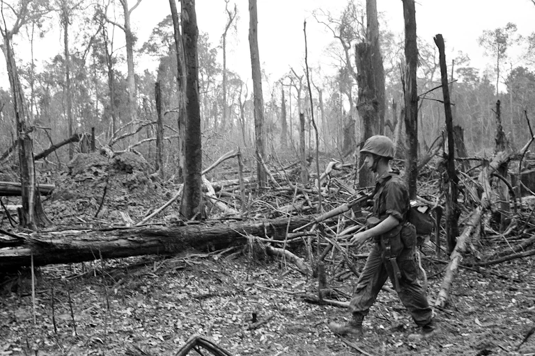 A soldier walks through a forests of broken trees, missing leaves.